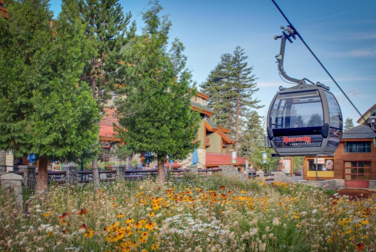 Elegant Pine Villa South Lake Tahoe Ngoại thất bức ảnh